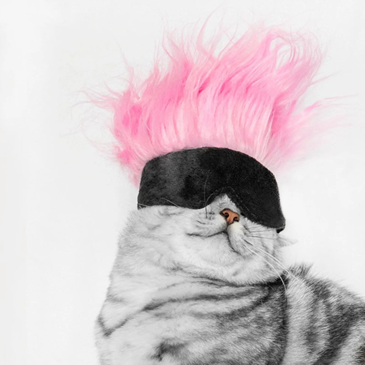 New Cool Pet Wigs Cosplay Props Funny Dogs Cats Pets Clothes Cap Costume Cosplay Cat Dog Hat Party Supplies Halloowen Christmas