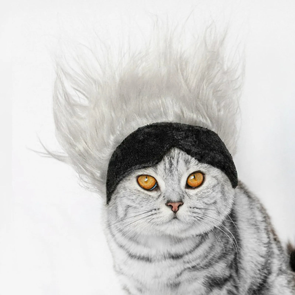 New Cool Pet Wigs Cosplay Props Funny Dogs Cats Pets Clothes Cap Costume Cosplay Cat Dog Hat Party Supplies Halloowen Christmas