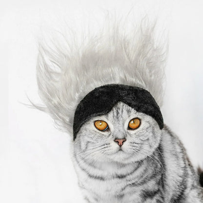 New Cool Pet Wigs Cosplay Props Funny Dogs Cats Pets Clothes Cap Costume Cosplay Cat Dog Hat Party Supplies Halloowen Christmas