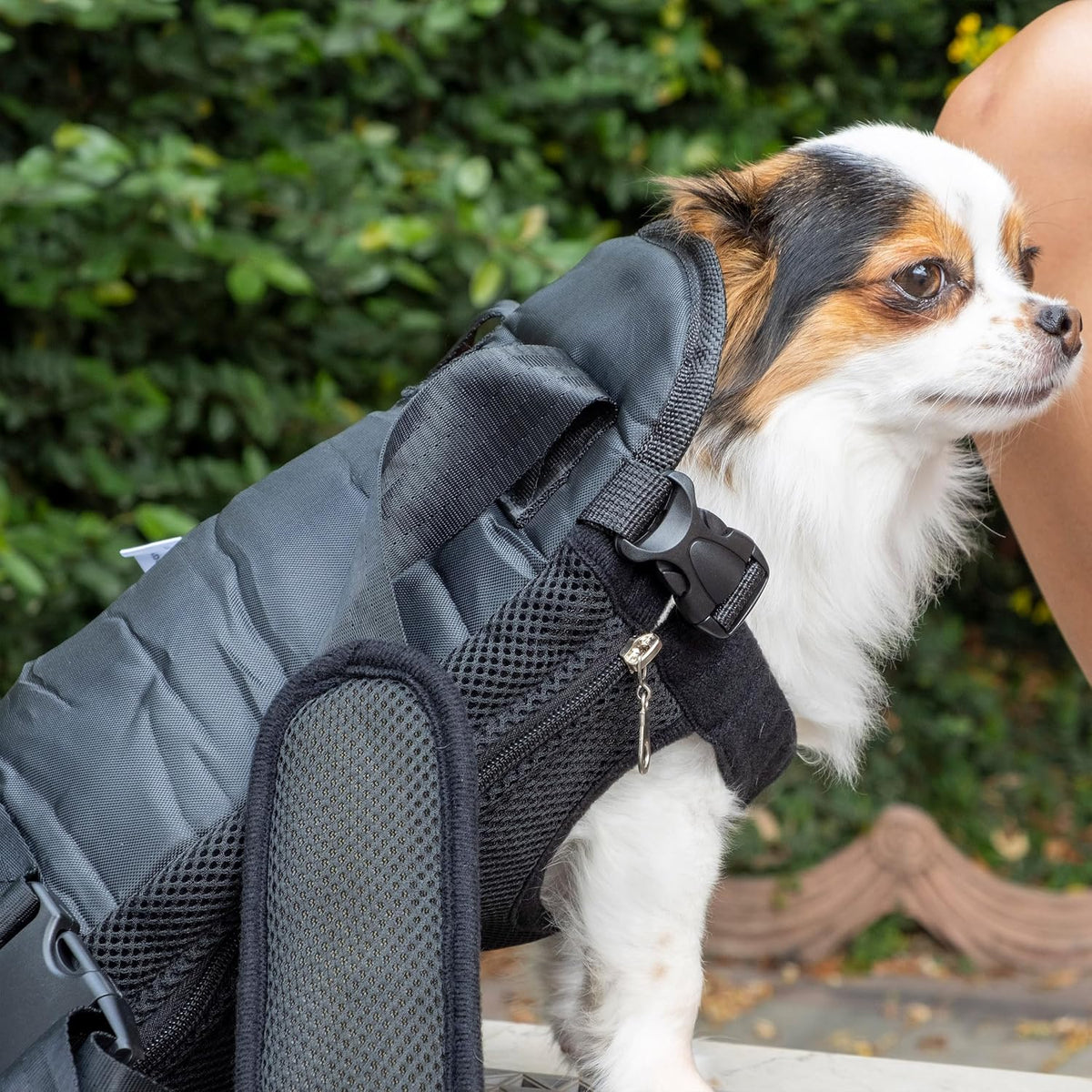 - Pet Carrier Backpack, Weighing up to 12 Lbs