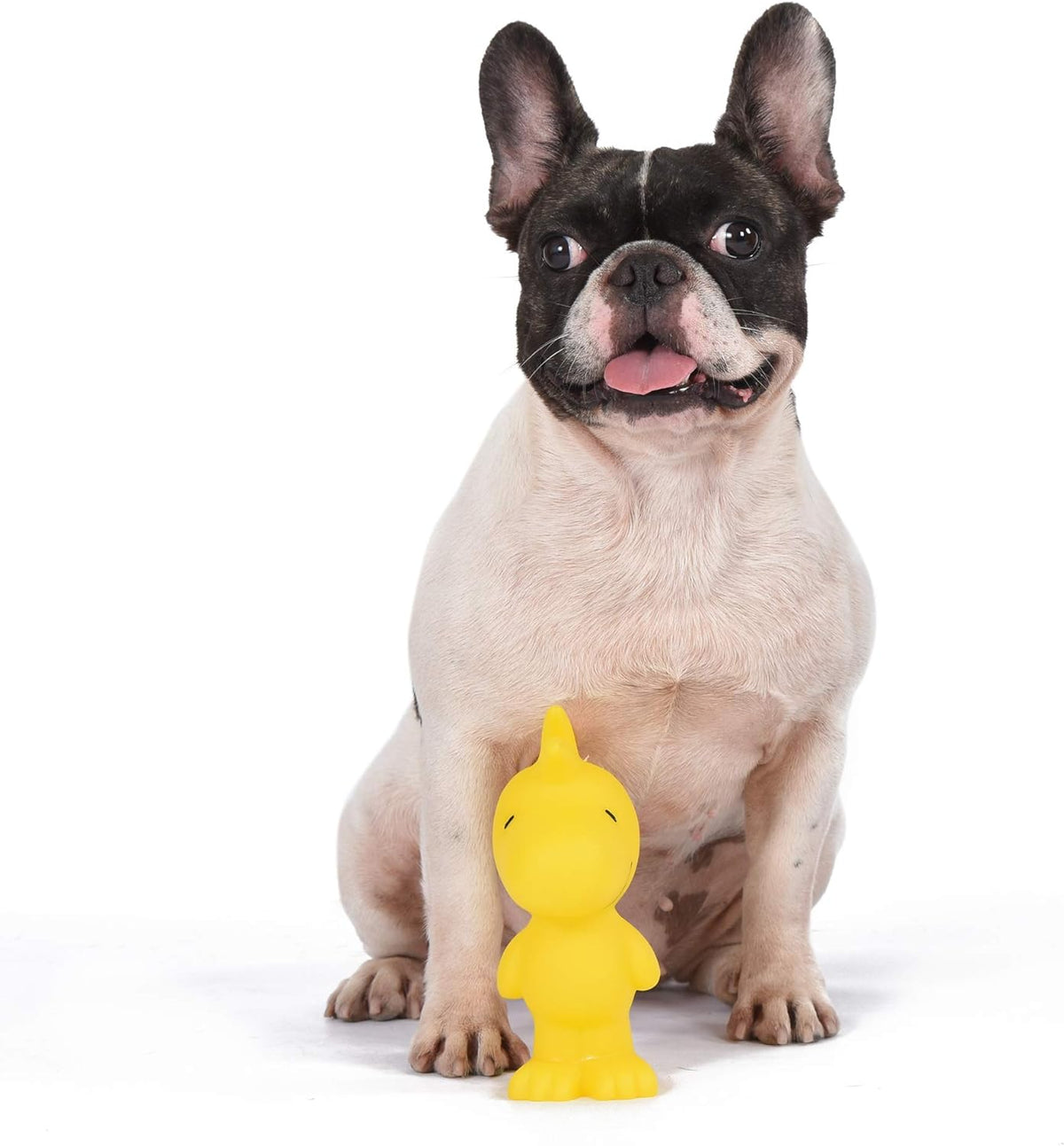 for Pets Woodstock Classic Vinyl Squeaker Dog Toy