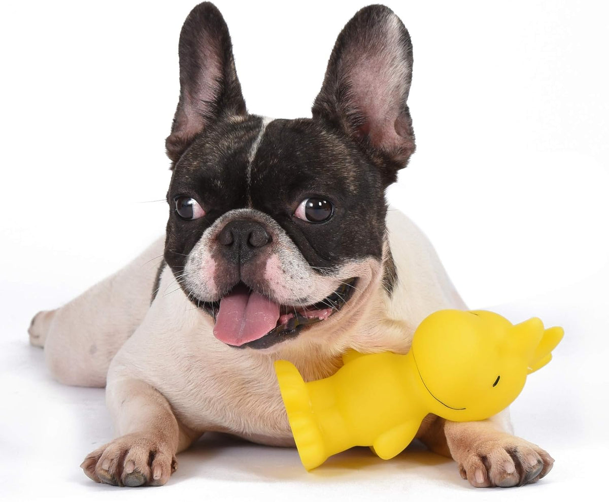 for Pets Woodstock Classic Vinyl Squeaker Dog Toy