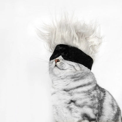 New Cool Pet Wigs Cosplay Props Funny Dogs Cats Pets Clothes Cap Costume Cosplay Cat Dog Hat Party Supplies Halloowen Christmas